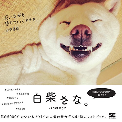 「白柴さな。」さなちゃんのファースト写真中もよろしく！