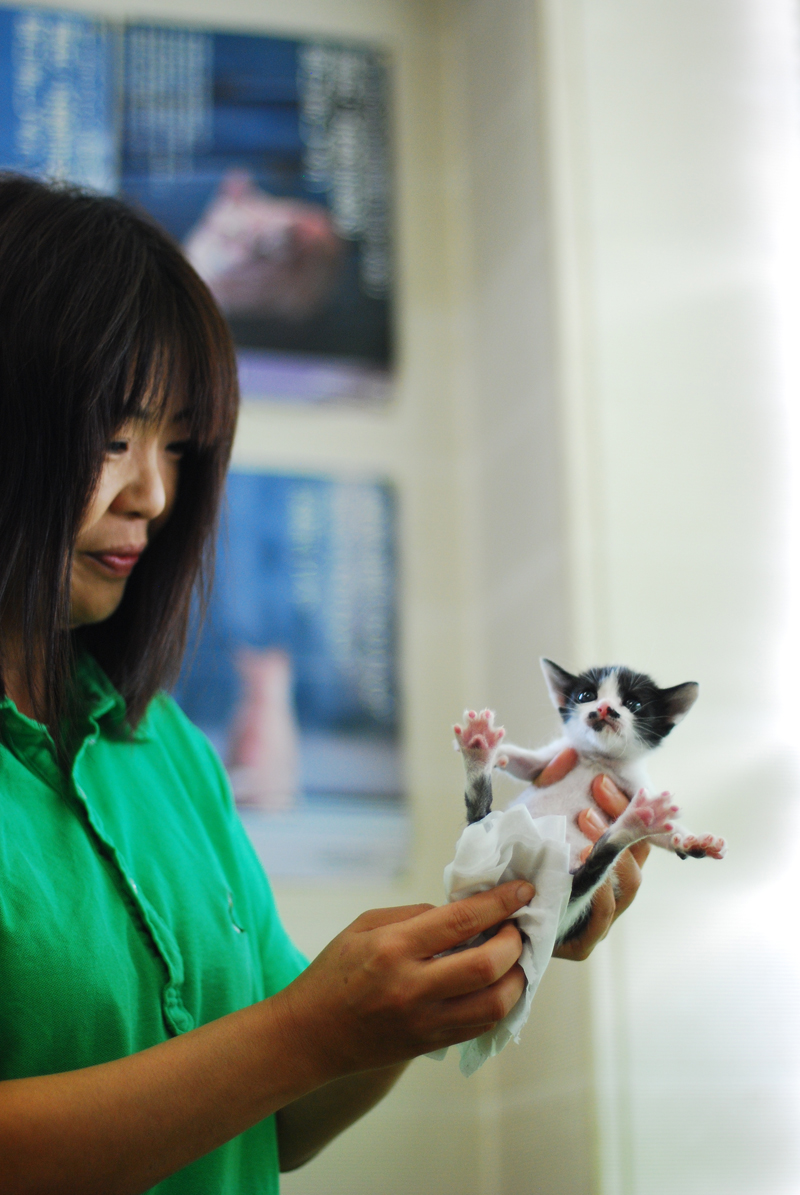 ティッシュでおしりをトントン＝集英社みらい文庫提供