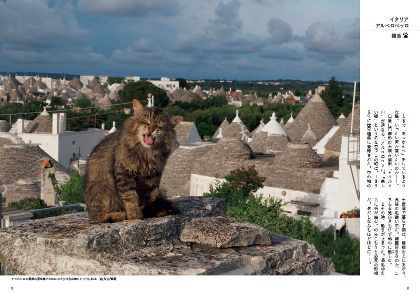 「世界のねこみち」から