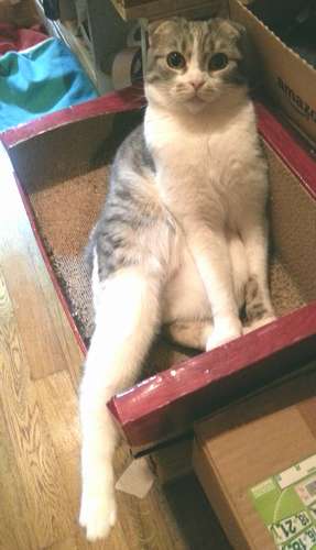 最近の冬子＝２０１６年５月