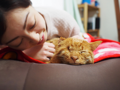 愛され顔とは、この顔のこと