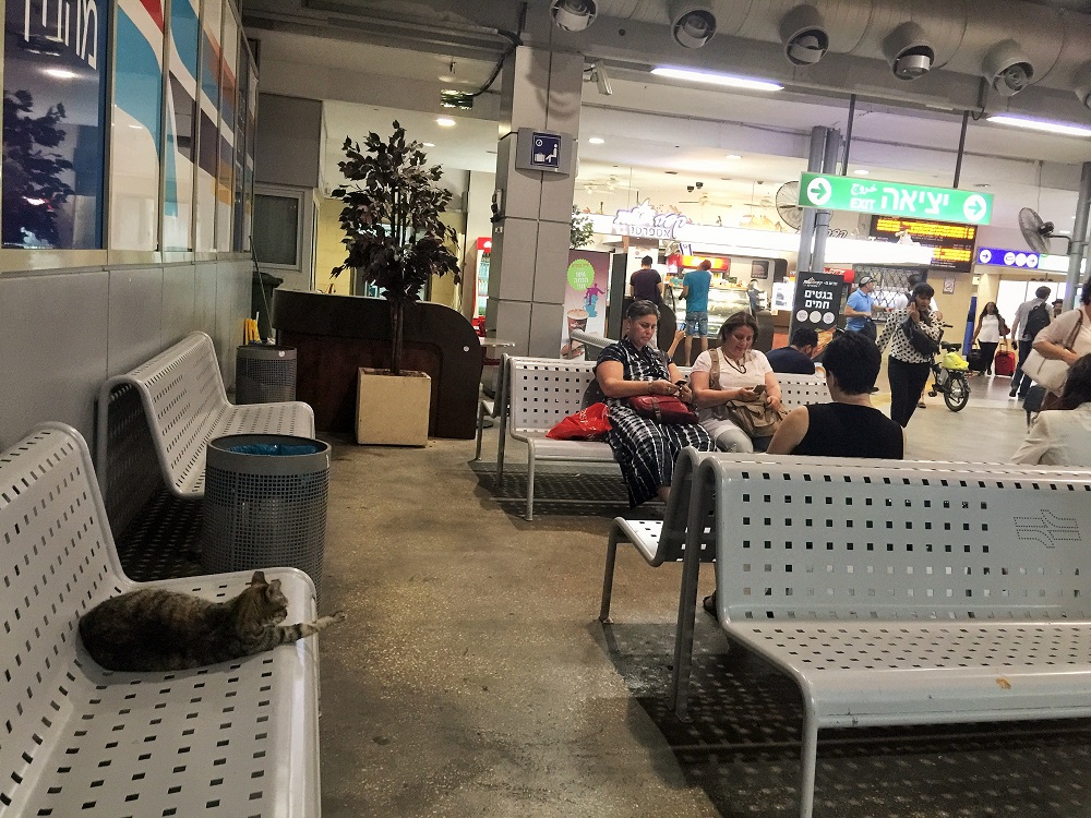 普通にイスに座ってます．．．