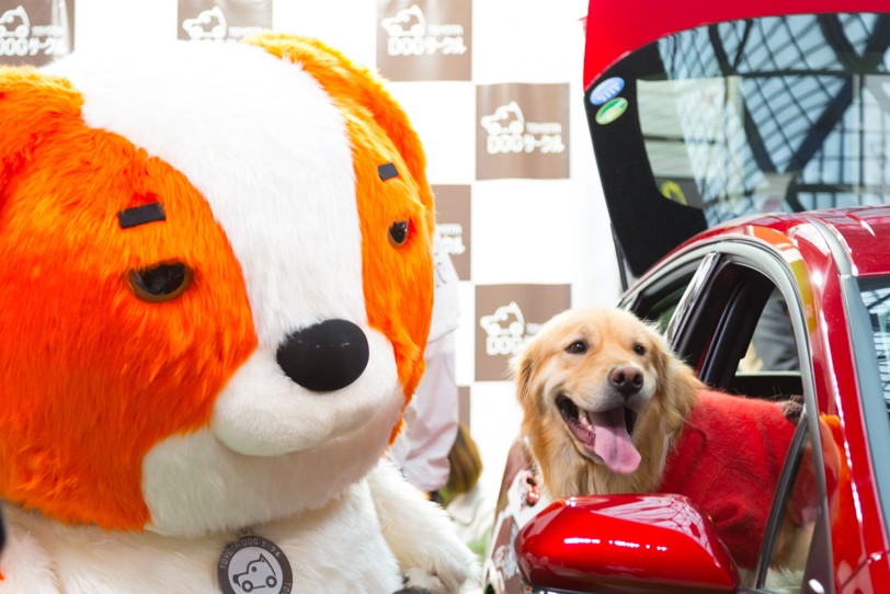 ワンサーと仲良しになっちゃうワンコも。きゅんきゅん！！