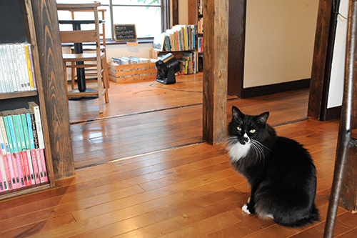 店内は清潔に保たれている