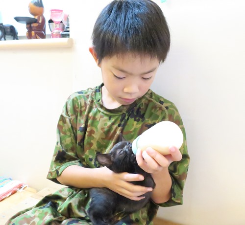 ミルクをあげるのは「お手のもの」の９歳の夕來君