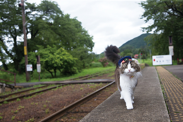 「線路異常なーし！ 今日もご機嫌にお客様をお迎えしましょう♪ 」