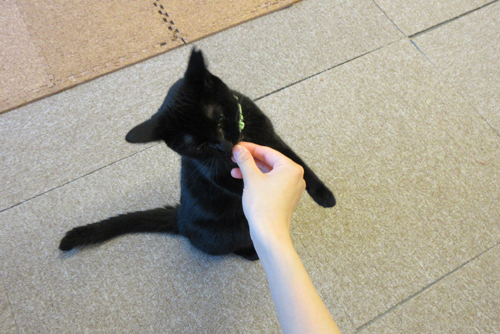 こっちにもちょうだい