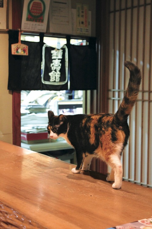 四万温泉「鍾寿館」ラッキー 写真＝伴田良輔