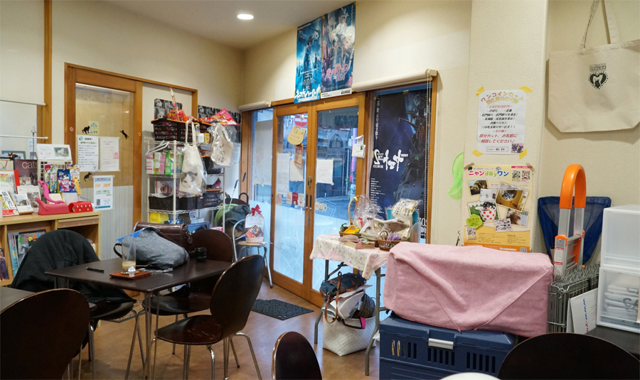 猫カフェスペースの隣には、喫茶もできる犬エリアが併設されている