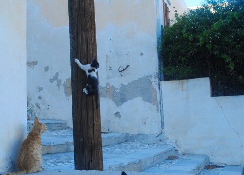 ……あっという間にこれくらい登れるようになりました！あれっ、下でセンパイが待ってる