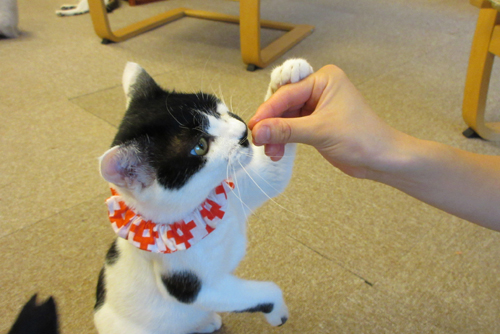 早くちょうだいよ