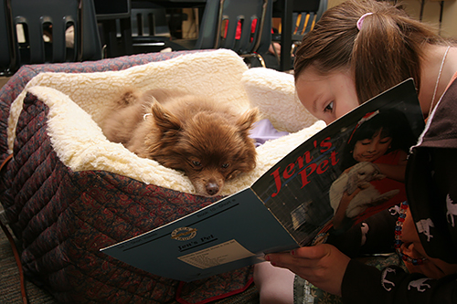 犬のほうに本を向け、真剣に読み聞かせる