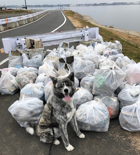 ゴミ拾い活動（５３ＰｉｃｋＵｐ）に同行した凜（丹竜治さん撮影）