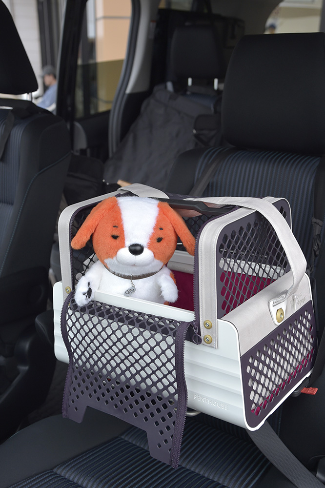 ドライブ中も便利な、車用のトランスポートボックス