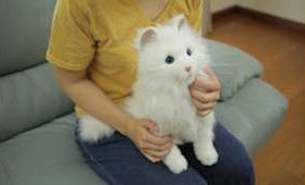 なでるとゴロゴロ しぐさや声まで再現した「夢ねこプレミアム」 | 「犬