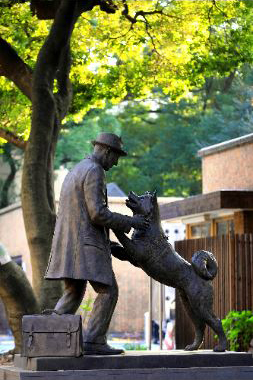 ハチ公と上野英三郎博士（東京都文京区）＝東京大学農学部敷地内にハチ没後８０年を記念して、２０１５年３月に建てられた。ハチは上野博士を待っていたという