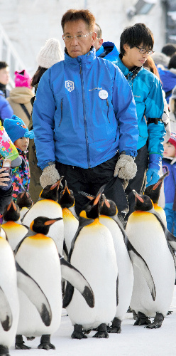 ペンギンの散歩について歩く坂東元園長＝１月２９日、北海道旭川市の旭山動物園