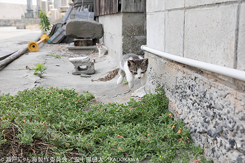 撮影・五十嵐健太