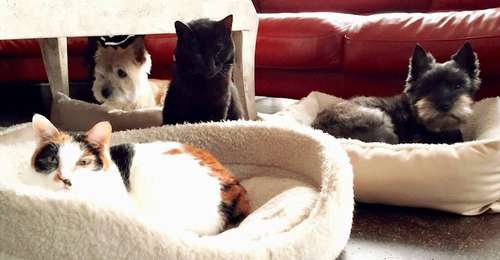 石榴とみんなの４ショット