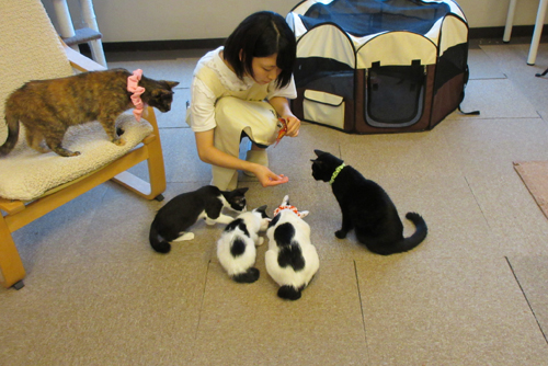 待ってました！おやつタイム