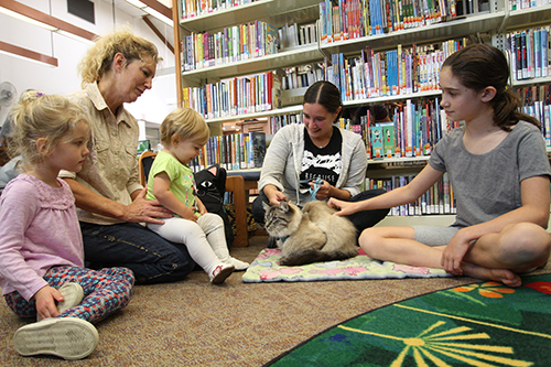 図書館デビューの日、タイはすっかり子どもたちの人気者に