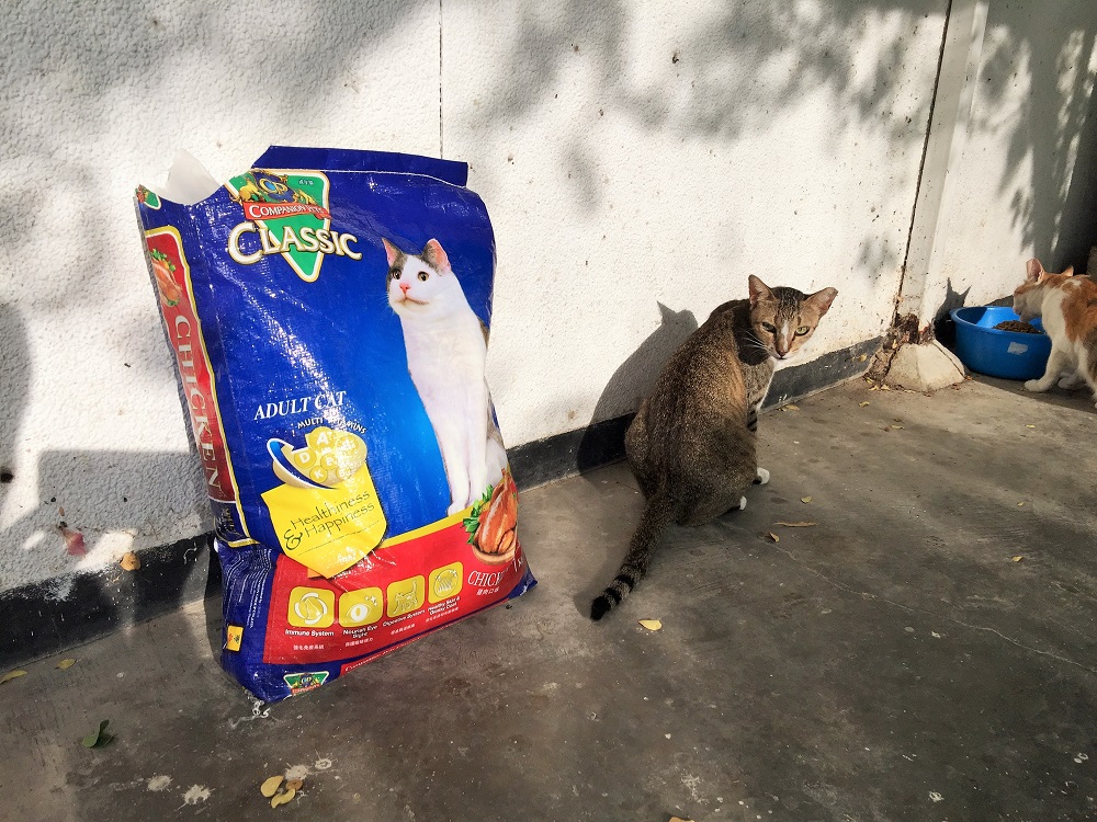 この袋が、あっという間になくなります