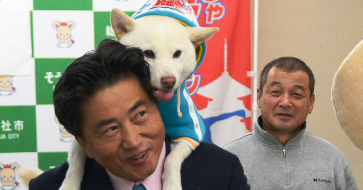 おんぶで自転車 柴犬の太郎がマラソン大会のマスコット犬に 犬 猫との幸せな暮らしのためのペット情報サイト Sippo おんぶで自転車 柴犬の太郎がマラソン大会のマスコット犬に 犬 猫との幸せな暮らしのためのペット情報サイト Sippo