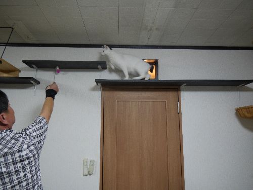 寝室と自由に行き来できる