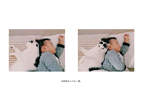 「ザクロとたい」から　（ぴあ／もりもとりえ）