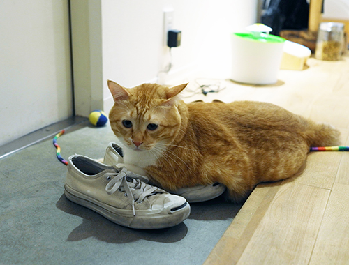 靴も大好きなんだ