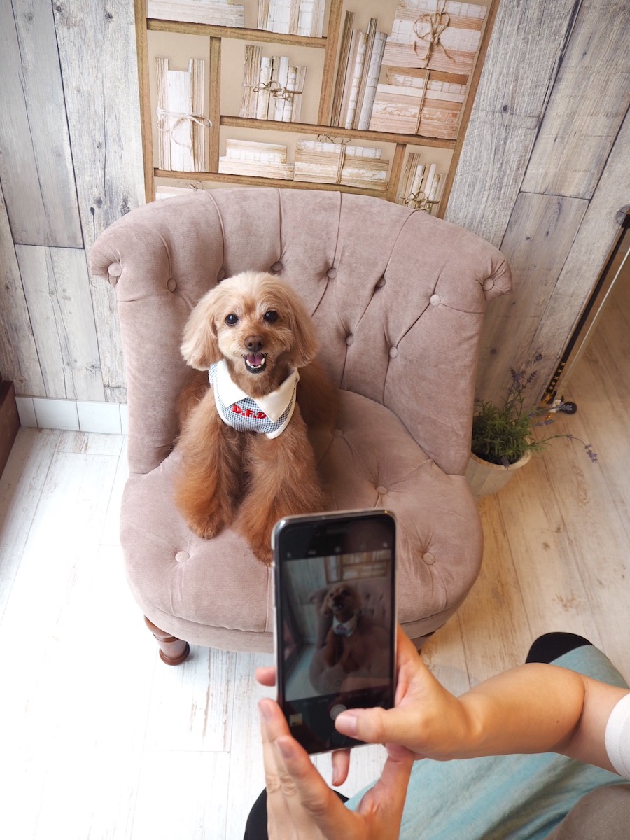 試着中もニッコニコ。スタッフさんがショップのブログで紹介してくれました。