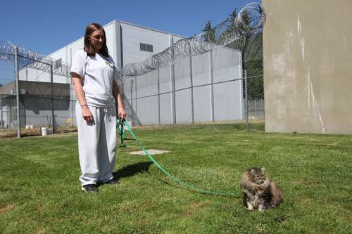 天気がいい日は猫もリードをつけて散歩 ©大塚敦子