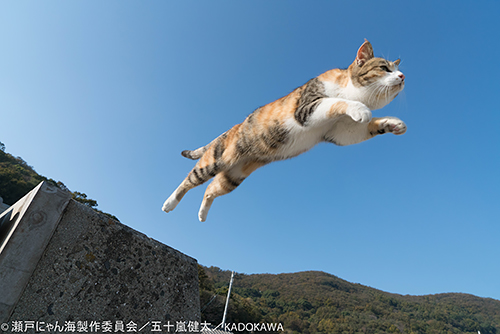 撮影・五十嵐健太