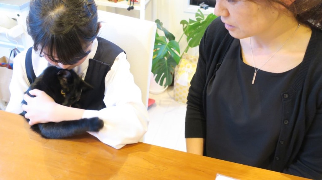 「猫育ては子育てと同じですね」とお母さん