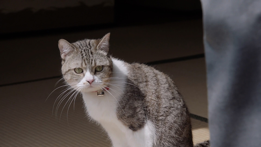 三菱電機「ニクイねぇ！シアター」 第3弾「Father」より