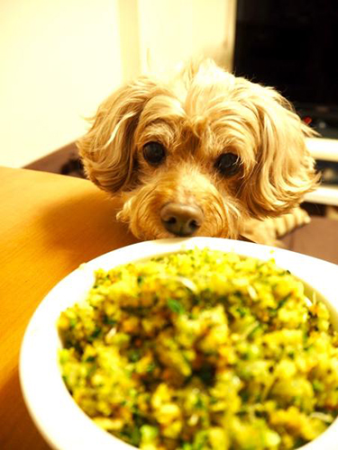 作り置きした「ごはんのもと」をもとに、ぷりたんディナー完成！-もちろん今夜も完食でした