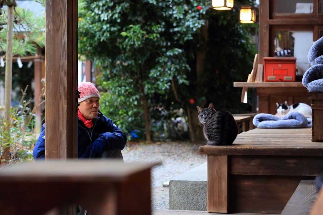 　岩合さんと猫　撮影＝松永卓也（朝日新聞出版写真部）