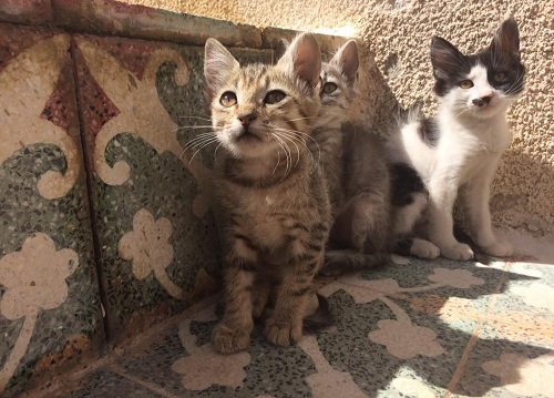 みんなのお気に入りの場所