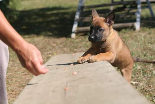 シーソーに乗って度胸をつける（ｃ）大塚敦子