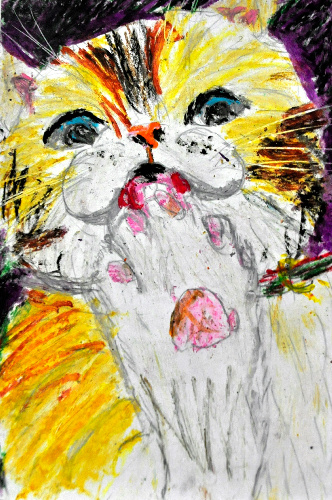 子どもが描いた猫への愛 猫のはがき絵コンクール受賞者決定 犬・猫と - 猫 美
術館 淡路島