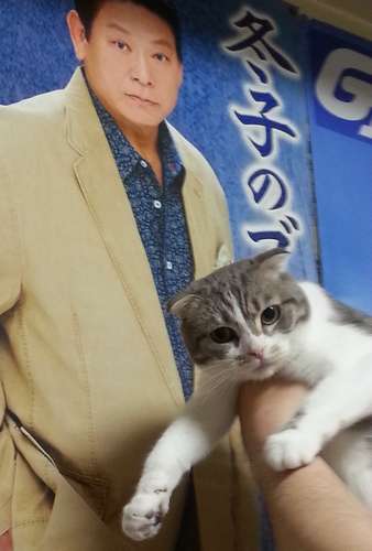 名前の由来「冬子のブルース」（増位山太志郎）のポスターの前で＝２０１６年７月