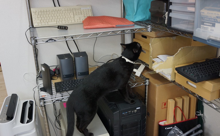 2階のオフイスを探検するすばる