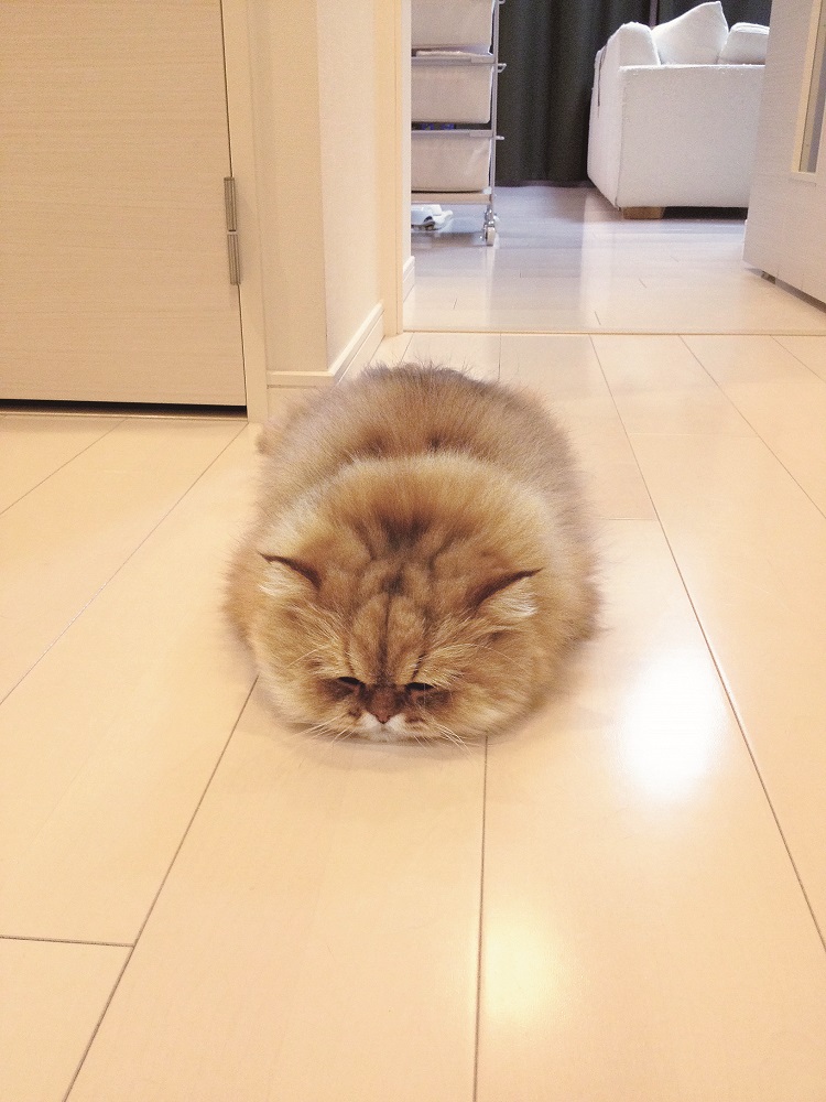 おとうちゃん待ちのぺそーん