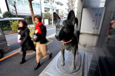 甲斐犬（東京都千代田区）＝山梨県出身のビルのオーナーが置いた。通りがかりの人や地元の人に愛される現代版お地蔵様のような存在になっている