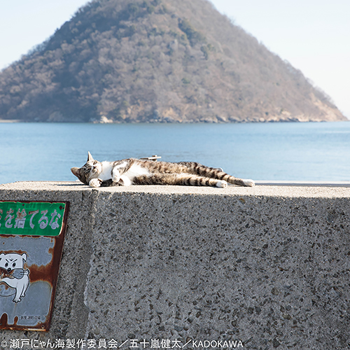 撮影・五十嵐健太