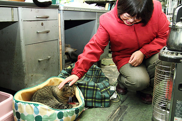 毎日、猫たちのおやつを持って癒されに通うお姉さんとナン