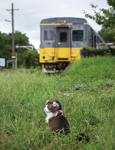 らぶ駅長の案内で、都会にはない風情を味わう贅沢な時間