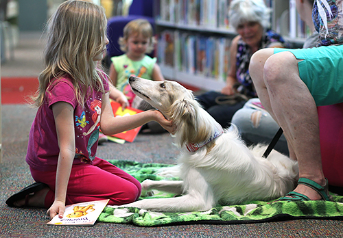 これから本を読んであげる相手の犬にあいさつ