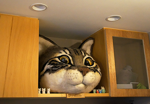 モデルは店長の三郎。たまに店長代理がかぶります。