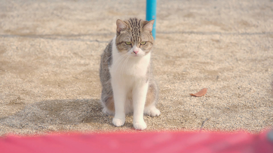 三菱電機「ニクイねぇ！シアター」 第3弾「Father」より